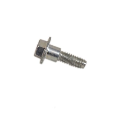 Lawn & Garden Equipment Engine Screw undefined