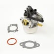 Briggs & Statton Lawn & Garden Equipment Engine Carburetor 799447