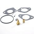 Briggs & Statton Lawn & Garden Equipment Engine Carburetor Rebuild Kit for Briggs & Stratton 250035-0110-B1 - Part 799662