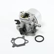 Briggs & Statton Lawn & Garden Equipment Engine Carburetor 799866