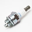 Briggs & Statton Lawn & Garden Equipment Engine Spark Plug 801254