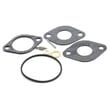 Briggs & Statton Lawn & Garden Equipment Engine Carburetor Rebuild Kit 801427
