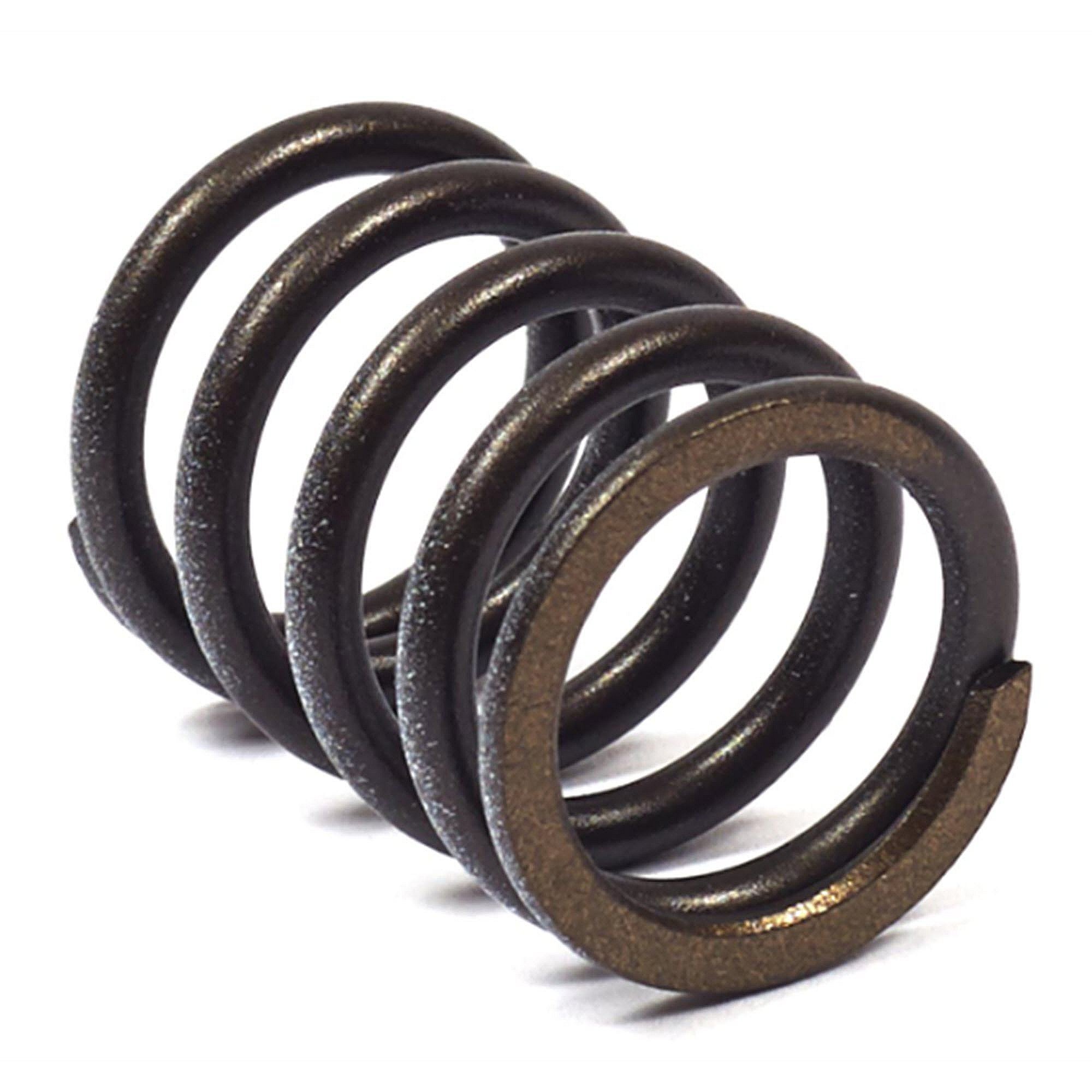 Briggs & Stratton Part #820406, Spring-Valve