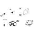 Briggs & Statton Lawn & Garden Equipment Engine Carburetor Rebuild Kit for Briggs & Stratton 44N677-0008-B1 - Part 84001917
