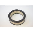 Briggs & Statton Lawn & Garden Equipment Engine Air Filter for Briggs & Stratton 354447-0122-E1 - Part 841359