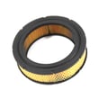 Briggs & Statton Lawn & Garden Equipment Engine Air Filter 841856