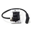 Ignition Module 20-584-04-S