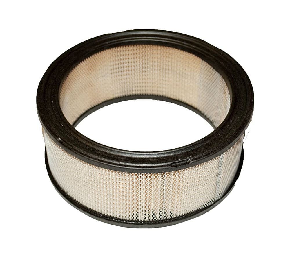 Lawn & Garden Equipment Engine Air Filter