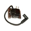 Ignition Module 24-584-15-S