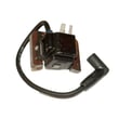 Kohler Lawn & Garden Equipment Engine Ignition Module 24-584-36-S