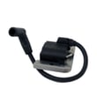 Kohler Lawn & Garden Equipment Engine Ignition Module 32-584-06-S