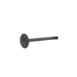 Generator Engine Exhaust Valve 0C3590