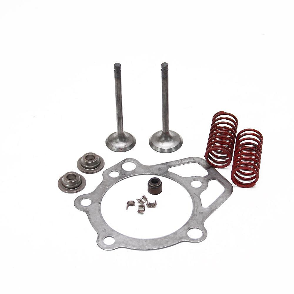 Part #0D24890Esv, Generator Engine Valve Set / 6.10 x 5.00 x 1.30