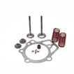 Generator Engine Valve Set