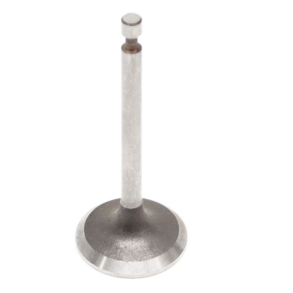Part #g073120, Intake Valve (Replaces 73120)