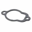 Intake Gasket