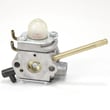 Leaf Blower Carburetor 308028007