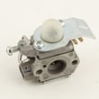 Line Trimmer Carburetor 308054007