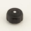 Fuel Cap Assembly for Homelite UT32600 - Part 310817001