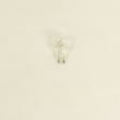 Light Bulb 092098MA