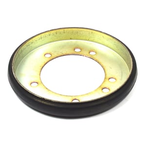 Friction Disc 1725428SM