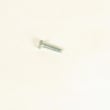 Screw 180022
