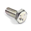 Snowblower Hex Bolt