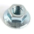 Nut, 5/16-18 55273MA
