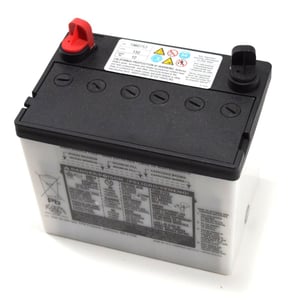Lawn Tractor Battery 7060753YP