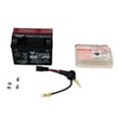 Lawn Mower Battery 7067012YP