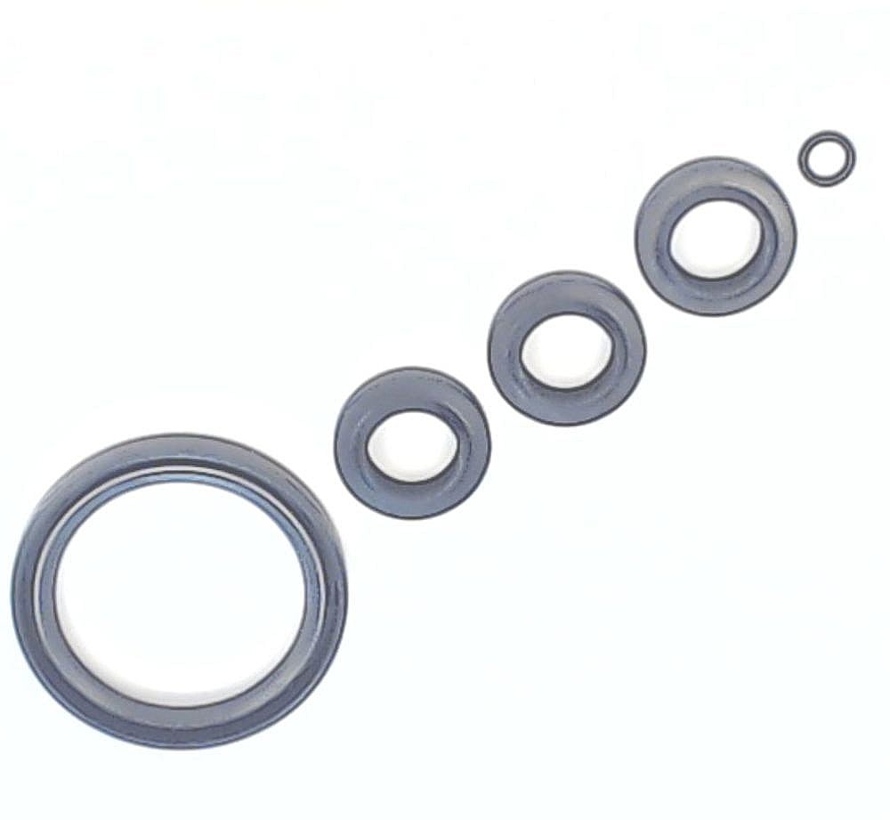 Pressure Washer Pump Oil Seal Kit 194425GS parts | Sears PartsDirect