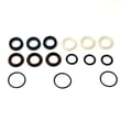 Troybilt Pressure Washer Pump Seal Kit 198845GS