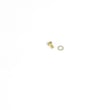 Pressure Washer Screw And Washer for Craftsman 580754920 - Part 200350GS