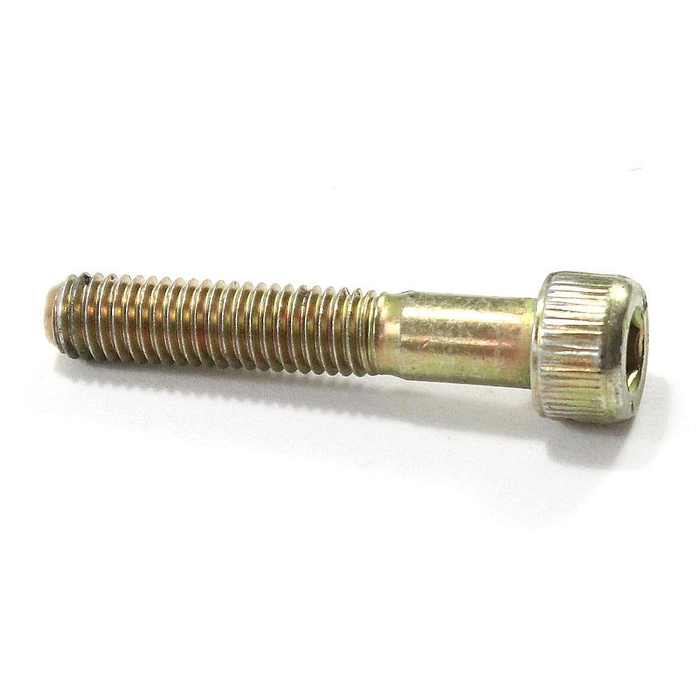 Pressure Washer Screw