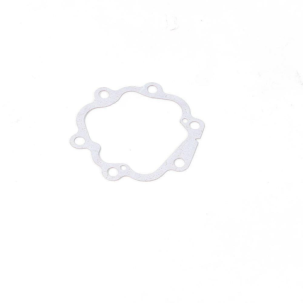 Pressure Washer Pump Head Gasket