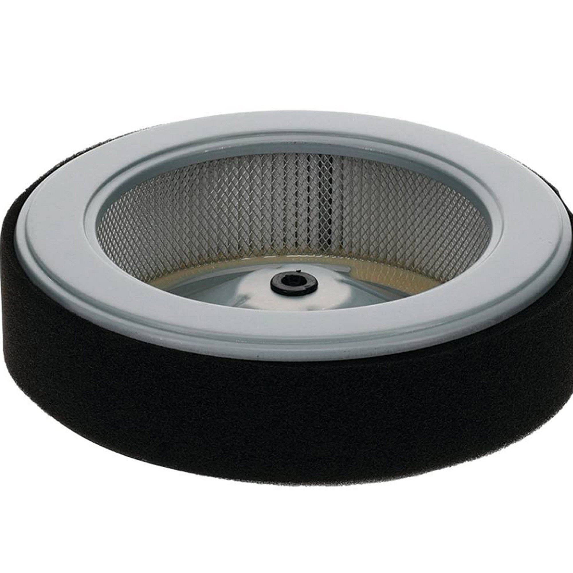 Stens Air Filter Combo, Honda 17210-z6l-010, Qty-1 (same As 17210z6l010) 100-005