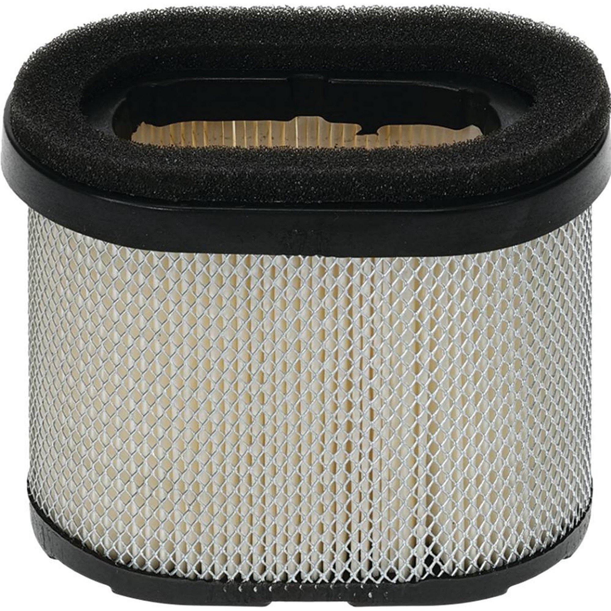 Stens Air Filter, Briggs & Stratton 697029, Qty-1 (same As 100093, 21535600, 33064, 4196, 4207, 498596, 498596s, 5059, 5059a, 5059b, 5059d, 5059h, 5059k, 5059w, 690610, 697029, M143278, M147431) 100-093