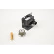 Gas Grill Ignition Module for Weber E-310LP - Part 81315