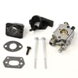 Chainsaw Carburetor 838118