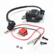 Chainsaw Ignition Module 838132