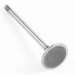 Lawn & Garden Equipment Engine Intake Valve for Craftsman 73910896B - Part 110-3479