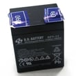 Battery 243213-00