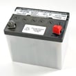 Lawn Tractor Battery (replaces 27195) 50795