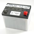 Lawn Tractor Battery 50795