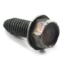 Lawn Tractor Screw (replaces 532120616, 8171206-16) 17120616
