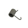 Lawn Mower Discharge Chute Door Spring, Left 180071