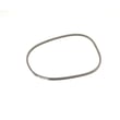 Belt.rgd.vs 406580