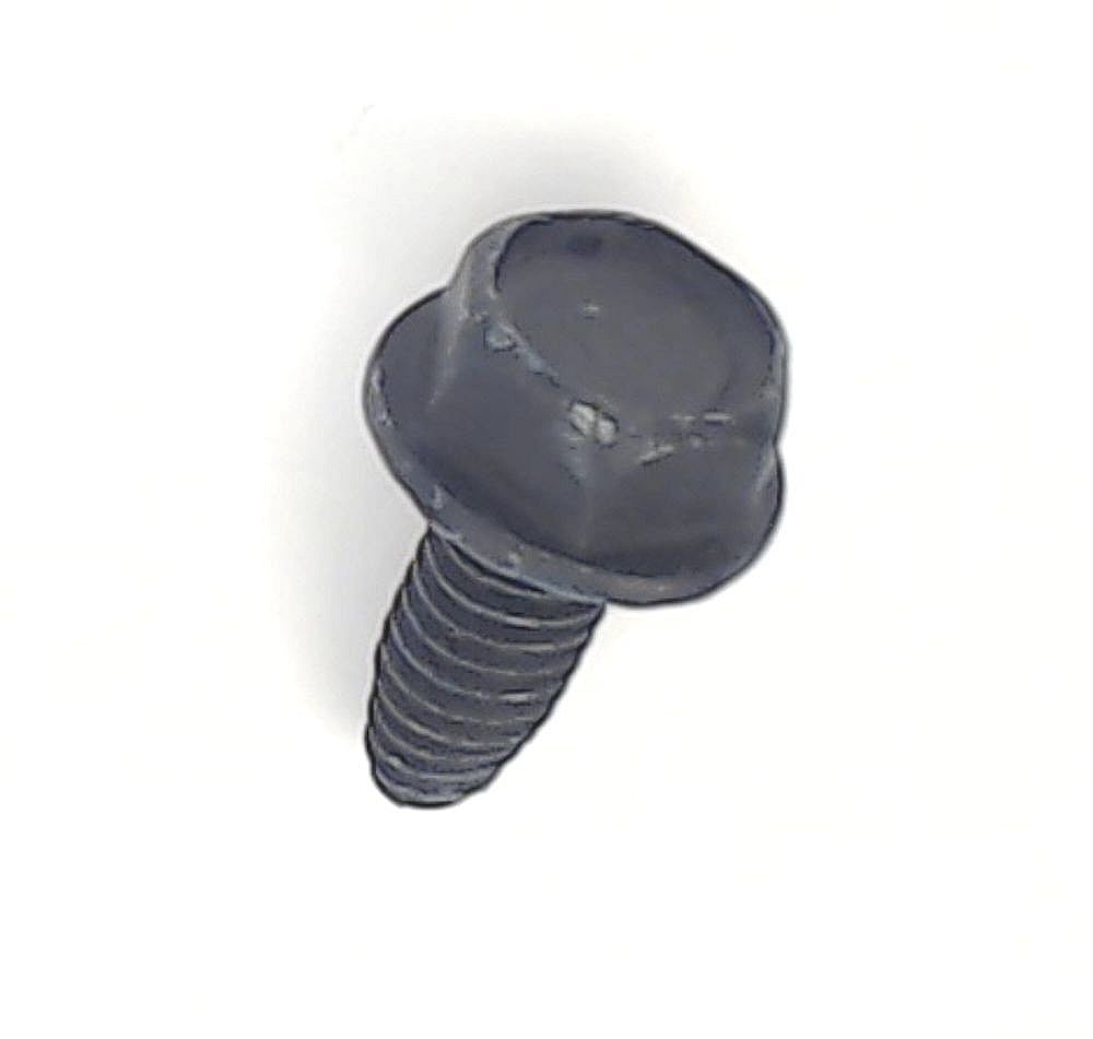 Snowblower Screw