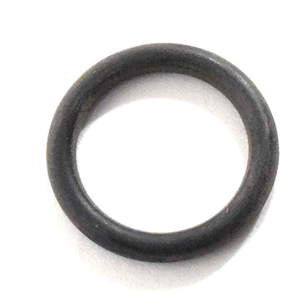 O-ring.1a.p1