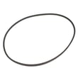 Lawn Tractor Ground Drive Belt, 1/2 X 56-5/16-in 539110411